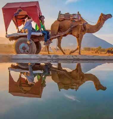 Golden Triangle Tour with Pushkar